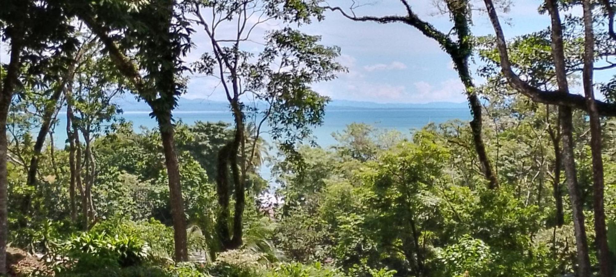 Ocean View Modern Dreamhouse Hotel Pavones  Exterior foto